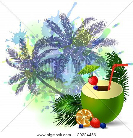 Exotic green coconut cocktail isolated on aabstract inkblot background with palms