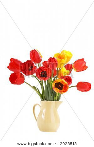  Smukke tulipaner