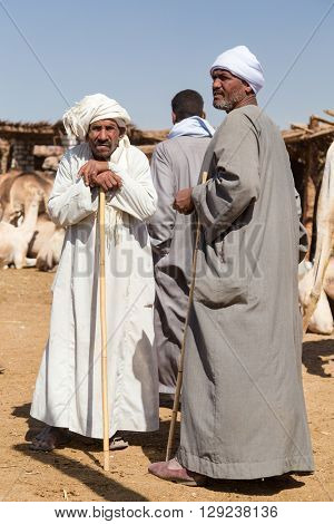 DARAW, EGYPT - FEBRUARY 6, 2016: Portrait of elderly camel salesmen with stick at Camel market.