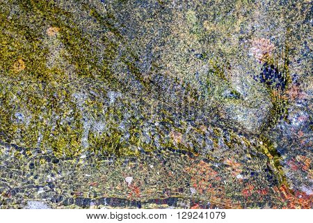 Bright colored stones from the bottom of the sea