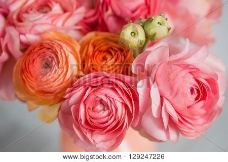 bunch of pale pink ranunculus persian buttercup light background, wooden surface. glass vase.  spring, summer