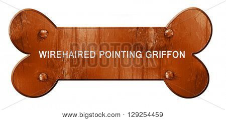 Wirehaired pointing griffon, 3D rendering, rough brown dog bone