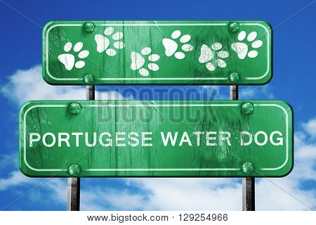 Portugese water dog, 3D rendering, rough green sign with smooth 