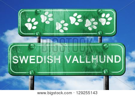 Swedish vallhund, 3D rendering, rough green sign with smooth lin
