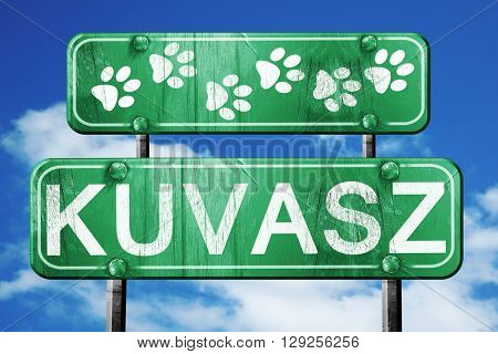 Kuvasz, 3D rendering, rough green sign with smooth lines