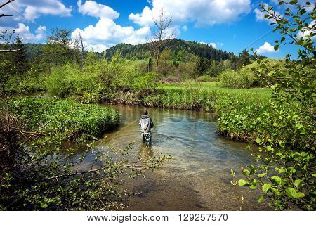 Fly Fisherman Fishing Trouts In  River