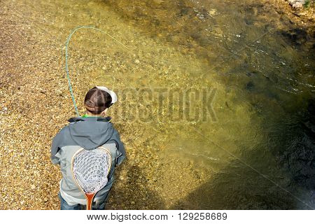 Fly Fisherman Fishing Trouts In  River