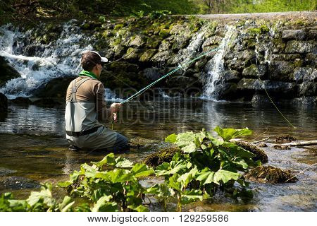Fly Fisherman Fishing Trouts In  River
