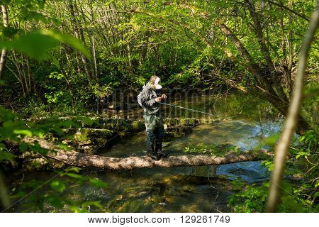 Fly Fisherman Fishing Trouts In  River