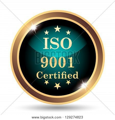 Iso9001 Icon