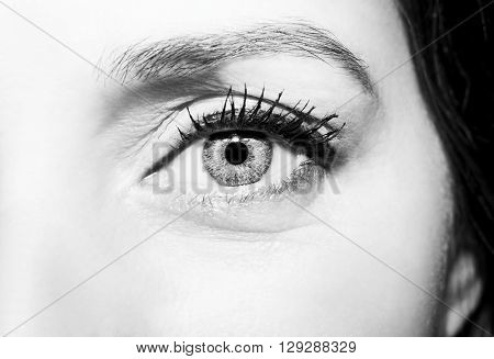 Beautiful insightful look on a womans eyes, black and white