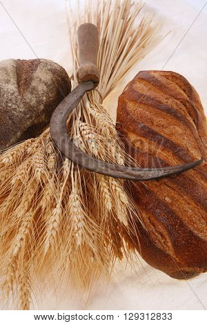 bunch of mown wheat ears with vintage handmade reaper hook sickle and rye and white dark french fresh bread loaf on light linen tablecloth