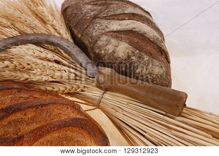 bunch of mown wheat ears with vintage handmade reaper hook sickle and rye and white dark french fresh bread loaf on light linen tablecloth