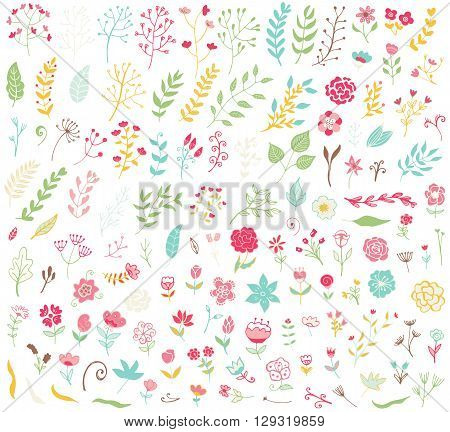 Floral hand drawn vintage set. Vector flowers and leaves collection. Sketch art illustration.