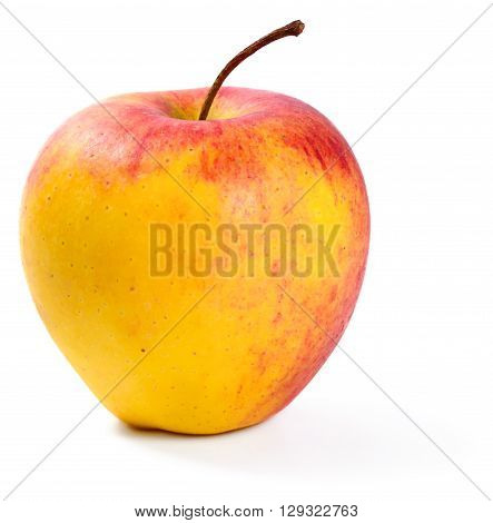 Organic apple, red and yellow apple, isolated on white background.