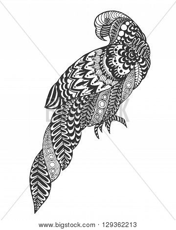 Zentangle stylized parrot. Bird. Black white hand drawn doodle. Ethnic patterned vector illustration. African, indian, totem, tribal design. Sketch for tattoo, poster, print or t-shirt.