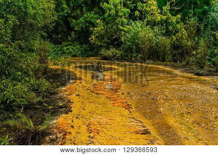 Khao Pra Bang Khram Wildlife Sanctuary way to Emerald Pool aka Sa Morakot tourist destination. National Park Krabi Thailand. Green tropical forest Southeast Asia. Yellow and orange soil
