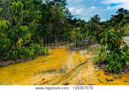 Khao Pra Bang Khram Wildlife Sanctuary way to Emerald Pool aka Sa Morakot tourist destination. National Park Krabi Thailand. Green tropical forest Southeast Asia. Yellow and orange soil