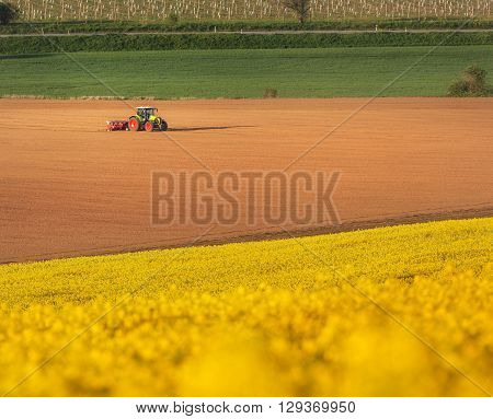 Tractor plowing a field in South Moravia at sunset beautiful view with yellow flowers yellow field and green grass Czech Republic. Agricultural landscape