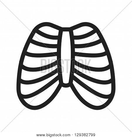 System, ribcage, shape icon vector image. Can also be used for human anatomy. Suitable for mobile apps, web apps and print media.