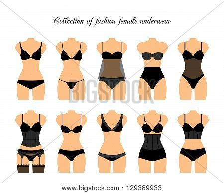 Female lingerie or female underwear set. Vector illustration