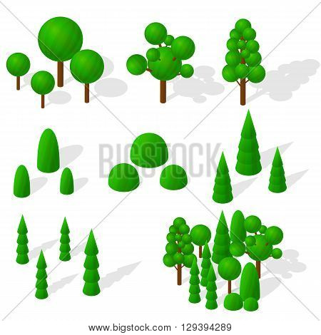 Isometric trees firs and shrubs. The green vegetation. Round deciduous trees. The ecology of the planet. Mixed forest. Trees with shadow. Vector illustration.