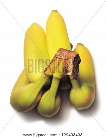 perfect ripe bananas, isolated on white background