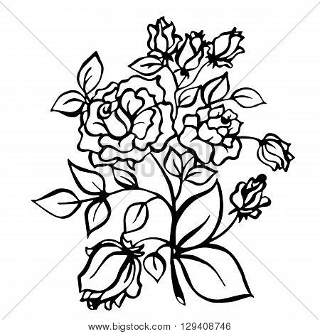 Vintage isolated calligraphic bautiful rose. Vector illustration
