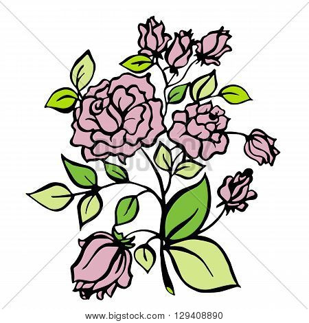Vintage isolated calligraphic bautiful rose. Vector illustration