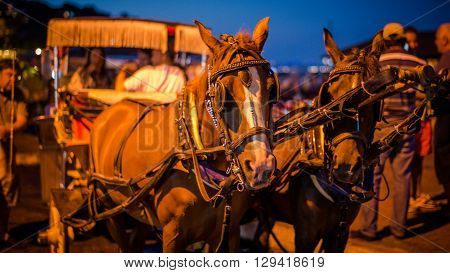 Istanbul, Turkey - August 10, 2013: Horse carts of Prince Islands in Istanbul, Turkey