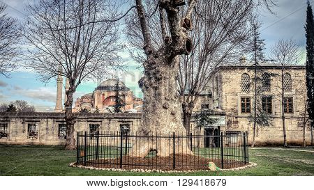 Istanbul, Turkey - 4 March, 2013: View of Hagia Sophia (Ayasofya), historic centre of Istanbul UNESCO World Heritage List, 1985, Turkey, 6th century.