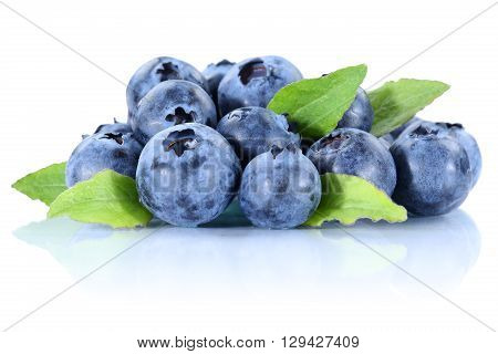 Blueberry Blueberries Fresh Berry Berries Bilberry Bilberries Isolated On White