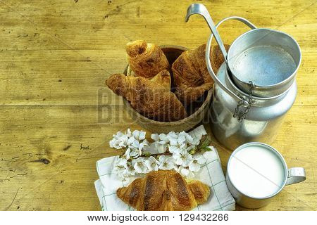 Aluminum milkcan witn organic milk and fresh baked croissants in the green spring garden