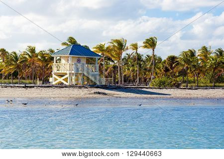 Beautiful Crandon Park Beach located in Key Biscayne in Miami, Florida, USA