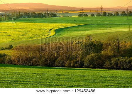 Beautiful Summer Rural Landscape