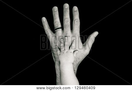 Black and White father's hand with baby hand on top