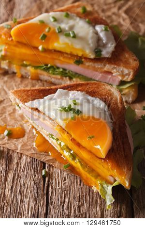 Cut Sandwich Croque Madame Closeup Of Paper. Vertical