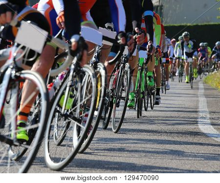 many race bike and professional cyclists during the cycling race on the road