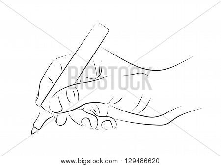 Hand drawing with marker. Line art illustration.