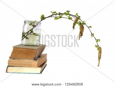 birch twig with flowering catkins in a glass jar on a pile of old books blossoming branch of catkins willows close up in early spring isolated elements on white background for scrapbook object