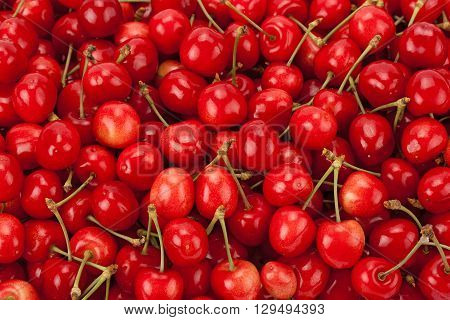 Background of freshly picked fragrant ripe sweet cherries.