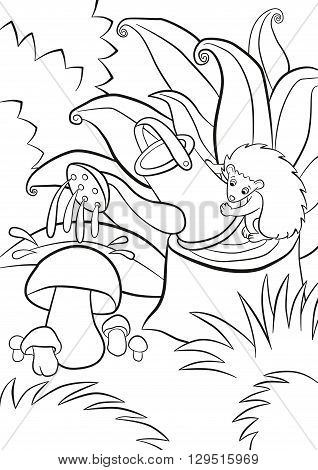 Coloring pages. Little cute kind hedgehog waters mushrooms. It stands on the stamp and holds watercan in the paws. There are bushes grass and plants around.