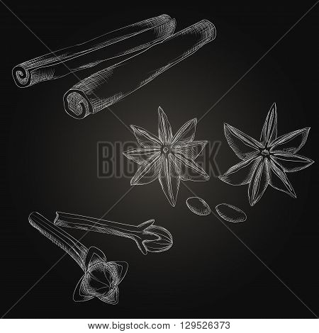 Spices And Herbs Set. Hand Drawing Elements On The Dark Background.