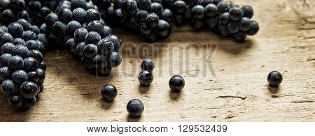 Panorama size lots of blue grapes on wooden table concept wine and grape juice