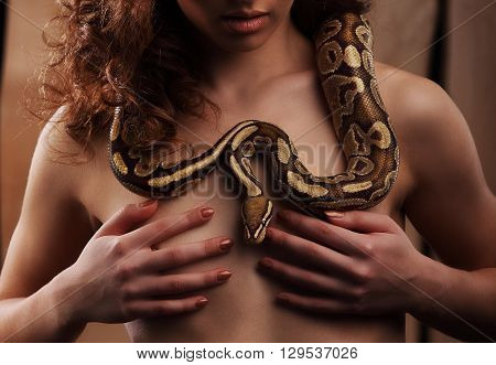 Sexy Brunette Girl With Orange Python Around Her Neck
