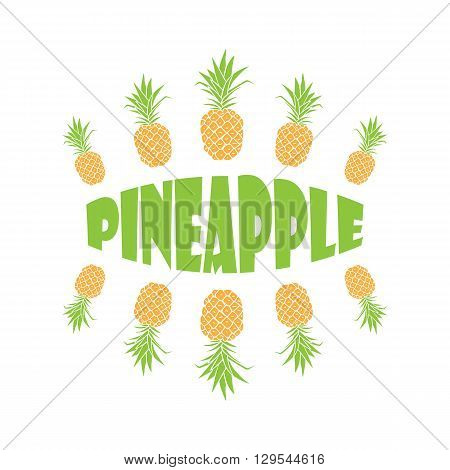 Vector hand drawn pineapple with typography. Vector background or banner.