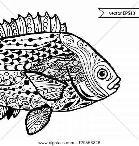 Fish. Hand-drawn fantasy fish with ethnic doodle pattern. Coloring page - zendala for relaxation and meditation for adults vector illustration isolated on a white background. Zen doodle.