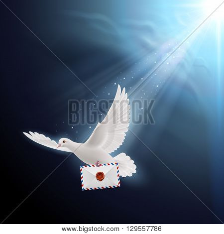 Pigeon fly with letter in beak on dark background