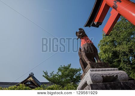 fox statue in fushimi inari shrine japan
