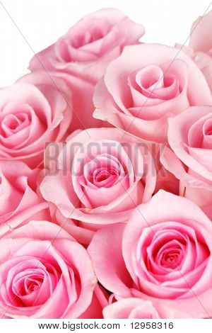 กุหลาบสวยงาม